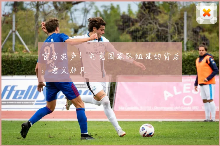 官方发声！电竞国家队组建的背后，意义非凡